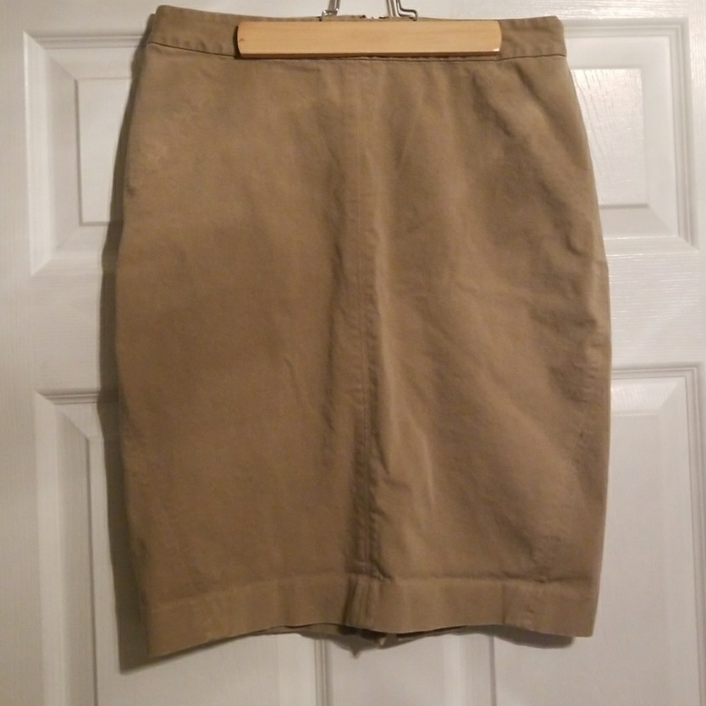 Ann Taylor skirt